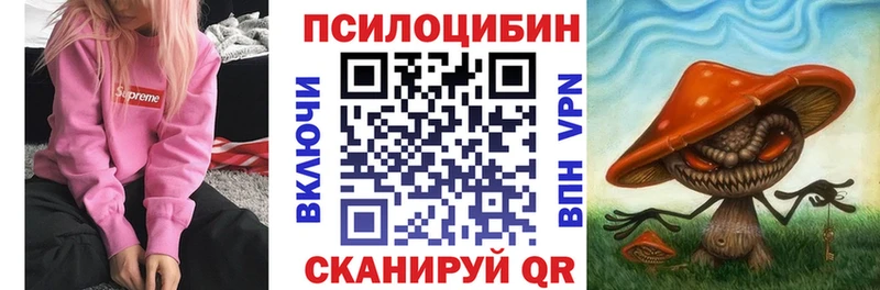 Псилоцибиновые грибы Psilocybe Реутов