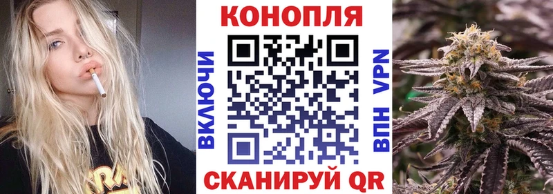 наркота  Реутов  Канабис индика 